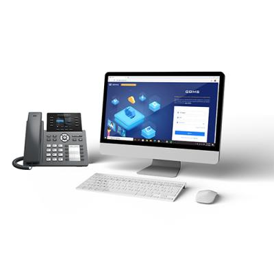 8-Line Professional IP Phone