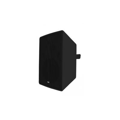 5.25" 2-Way Wall Mount Speaker WSK-T30B
